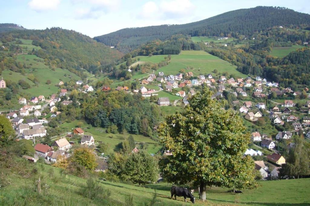 Yourte Des Verts Bois Фреланд Экстерьер фото